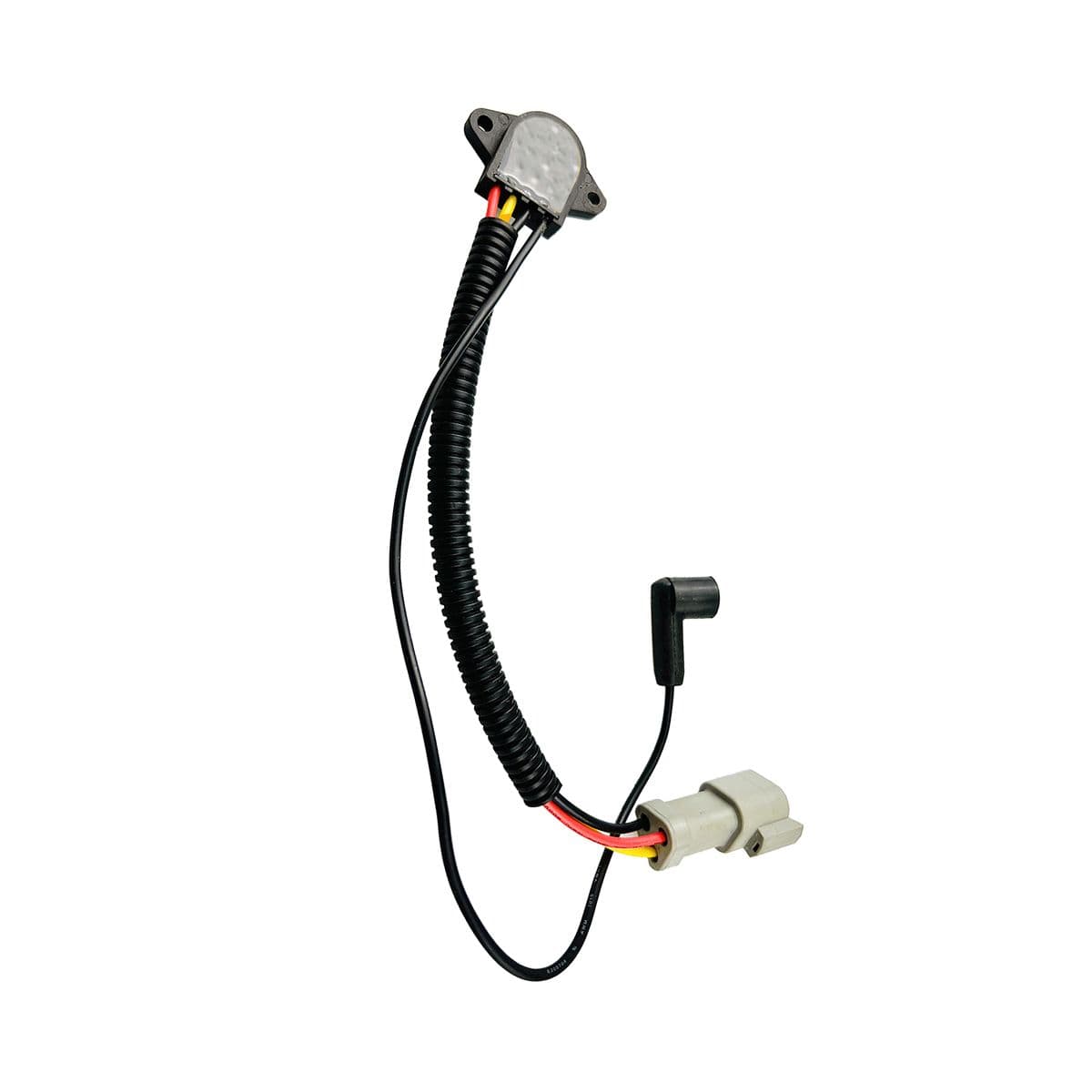 Wasser im Kraftstoffsensor DieselMax - 3CX 4CX AM