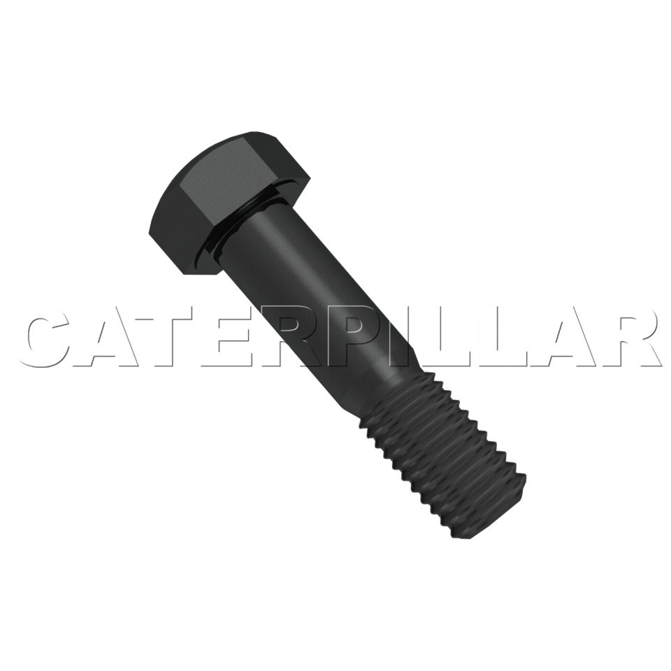 CAT - Bolt