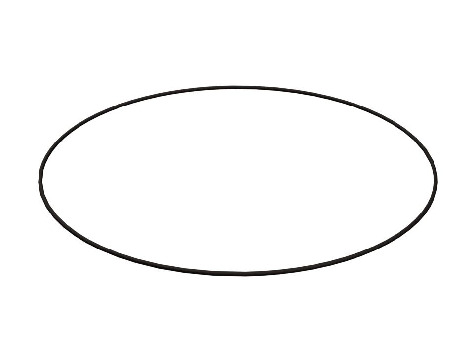CAT - O-Ring