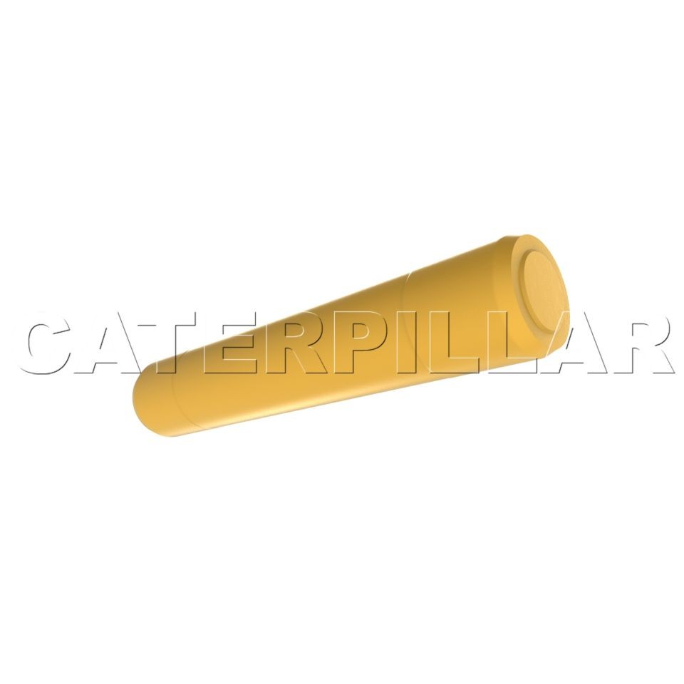 CAT - Pin