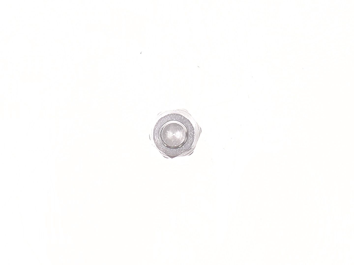 Cewka, 7020881