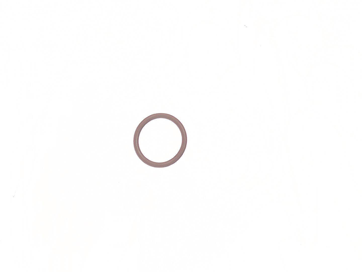 Pierścień O-ring, 79K8