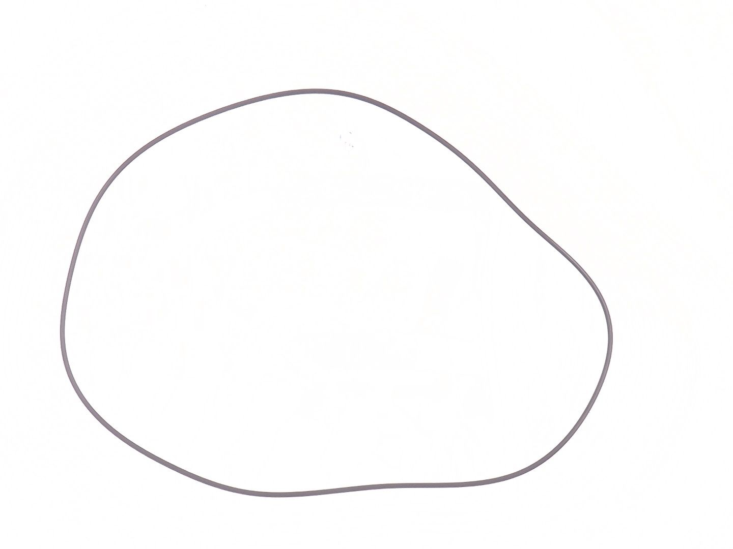 Pierścień O-ring, 25K30816
