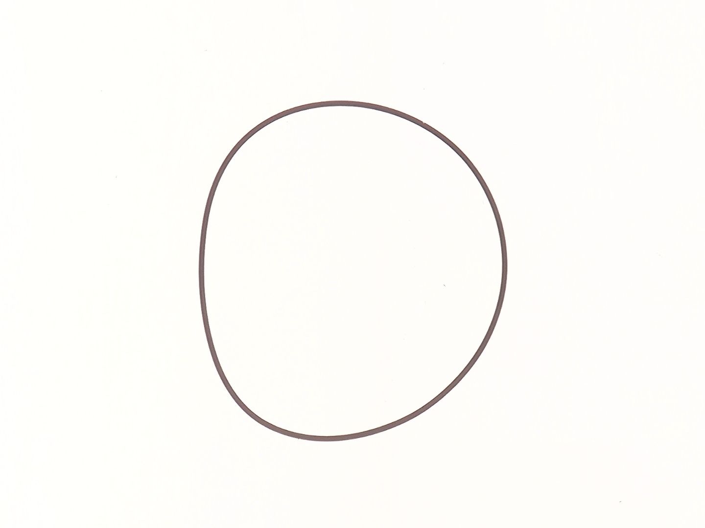 Pierścień O-ring, 6678384