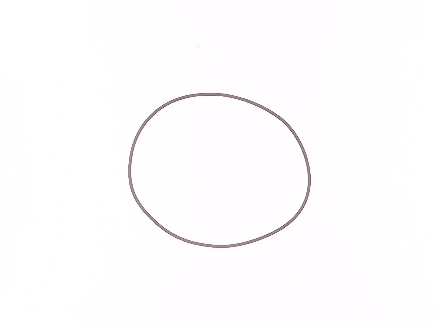 Pierścień O-ring, 7221646