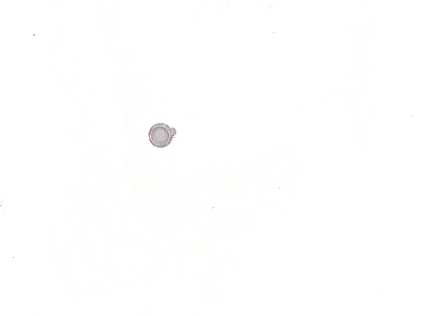 Śruba, gwintująca, 84G1320