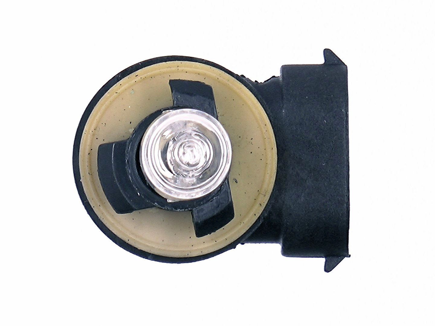 Żarówka 50W, 6675336