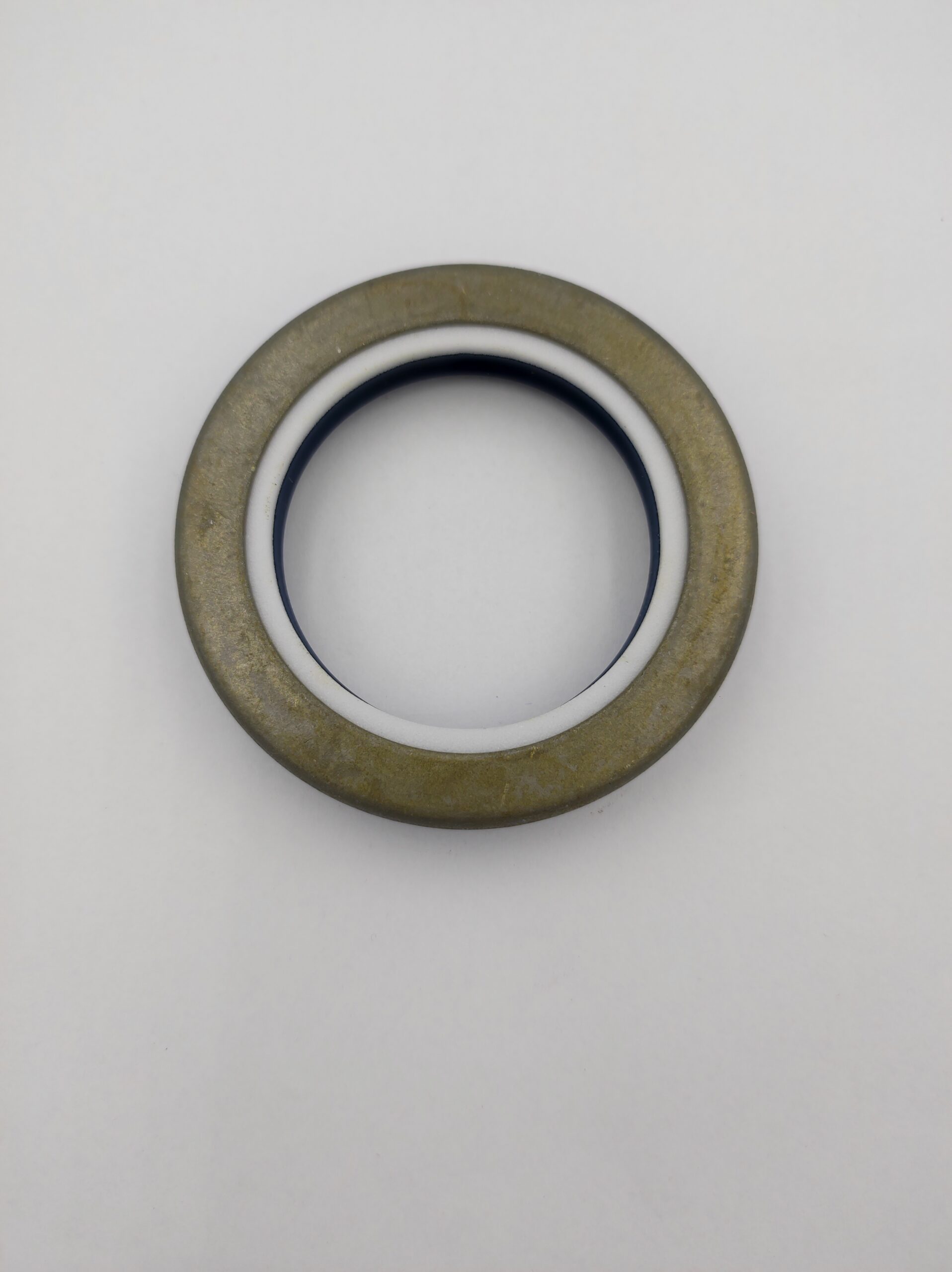 SKX259870, 123208, 2010000008096 Achswellendichtung – Carraro-Achsschenkel