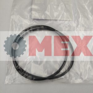 SKX052184 Uszczelnienie tłoka hamulcowego w moście Case 695SR